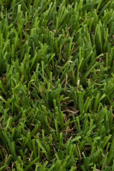 Shenwich 30mm Artificial Grass image 2