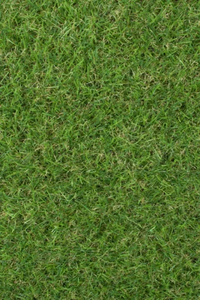 Sherbrooke 30mm Artificial Grass