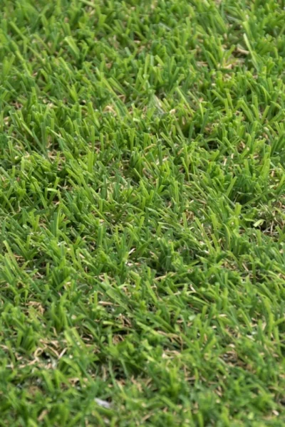 Sprucepark 25mm Artificial Grass image 2