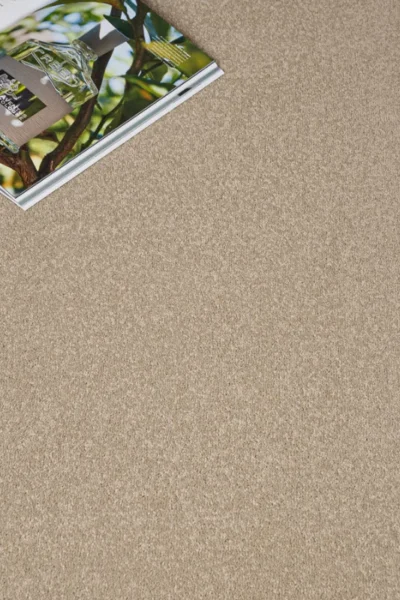 Stainfree Antique Cream Carpet