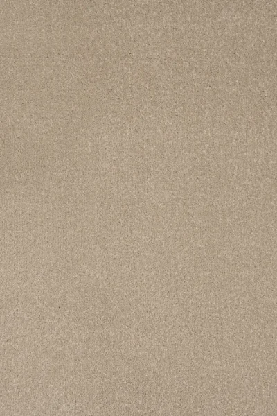 Stainfree Antique Cream Carpet image 2