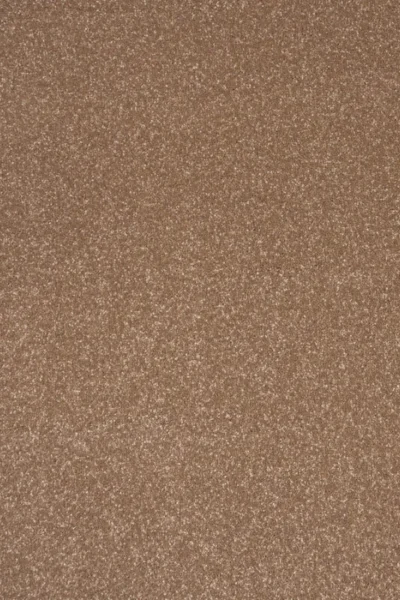 Stainfree Cocoa Cream Carpet image 2