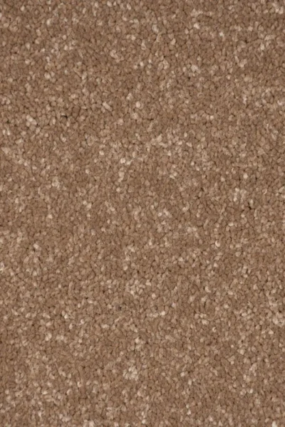 Stainfree Cocoa Cream Carpet image 3