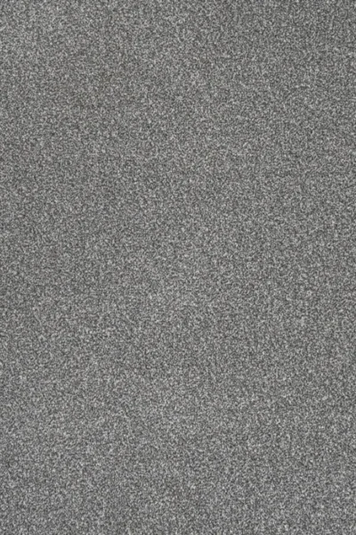 Stainfree French Grey Carpet image 2