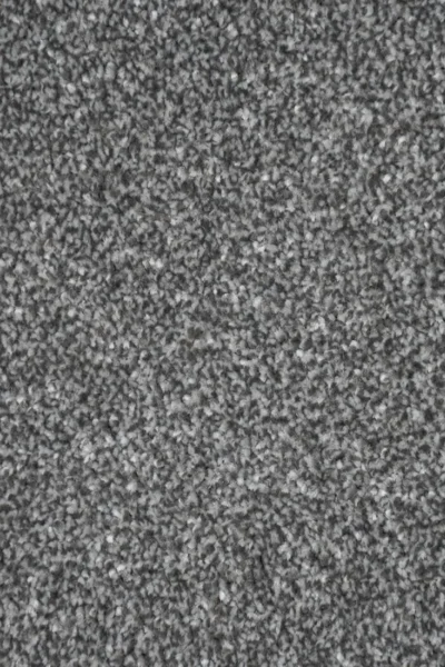 Stainfree French Grey Carpet image 3