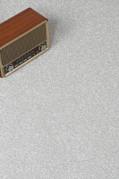 Stainfree Frost Carpet