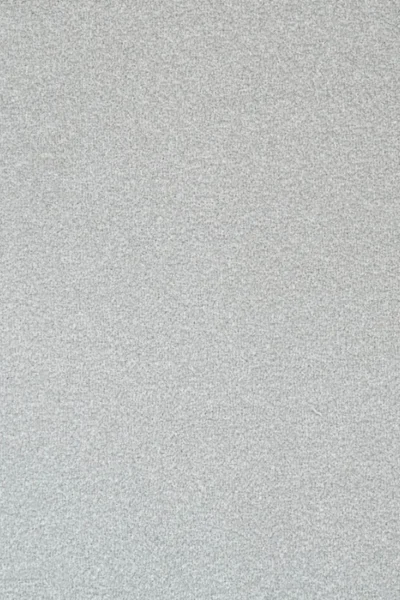 Stainfree Frost Carpet image 2