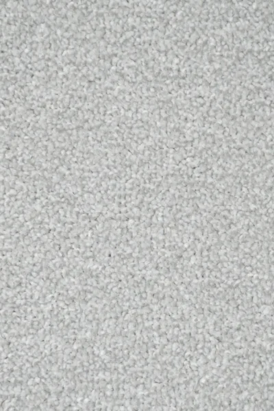 Stainfree Frost Carpet image 3