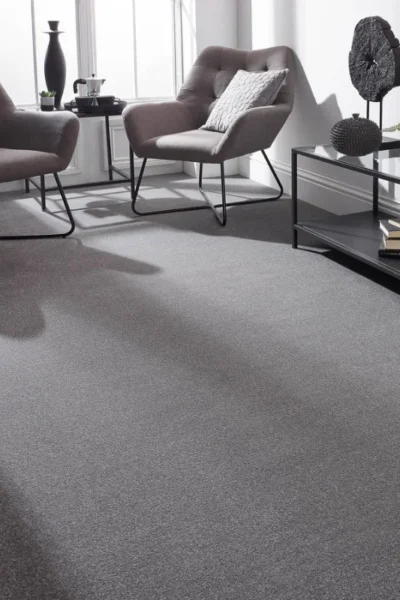 Stainfree Gunmetal Carpet