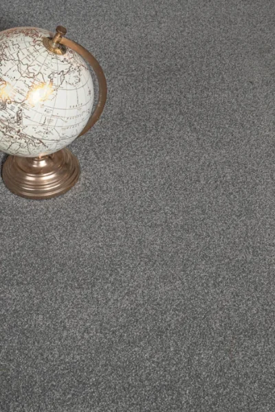 Stainfree Gunmetal Carpet image 2