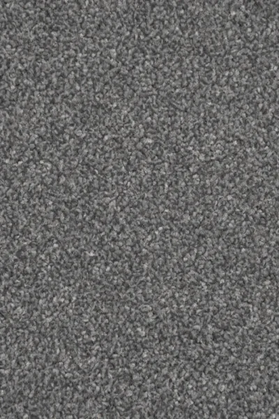 Stainfree Gunmetal Carpet image 3