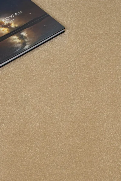 Stainfree Hampton Carpet