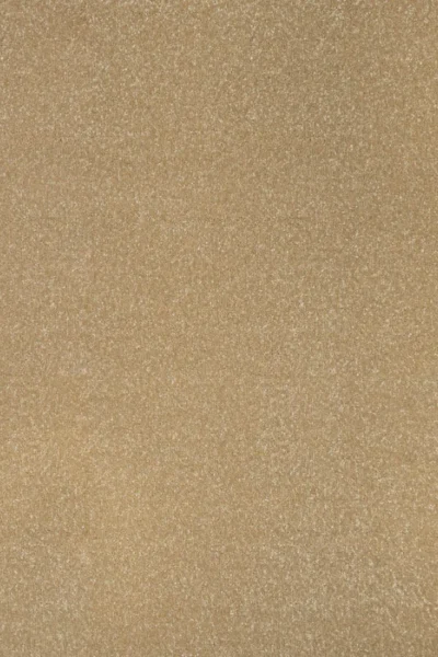 Stainfree Hampton Carpet image 2