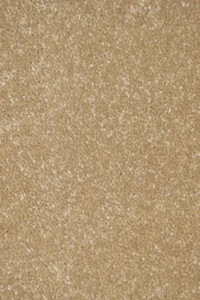 Stainfree Hampton Carpet image 3
