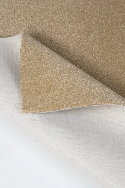 Stainfree Hampton Carpet image 4