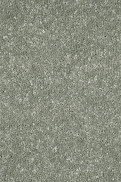 Stainfree Jade Carpet image 3