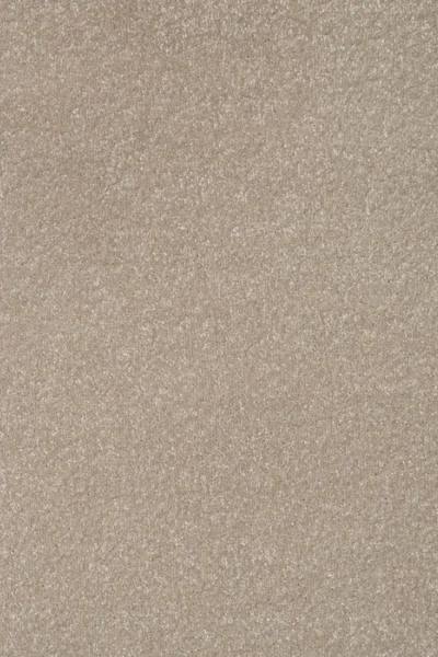 Stainfree Manor House Carpet image 2