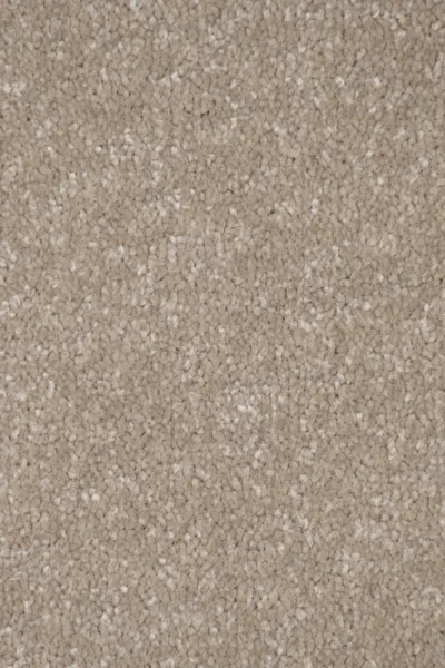 Stainfree Manor House Carpet image 3