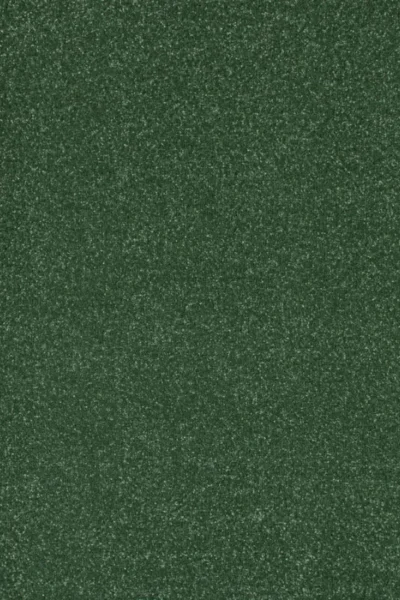 Stainfree Moss Carpet image 2