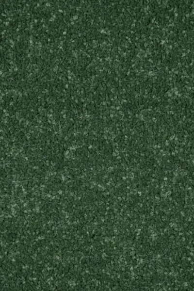 Stainfree Moss Carpet image 3