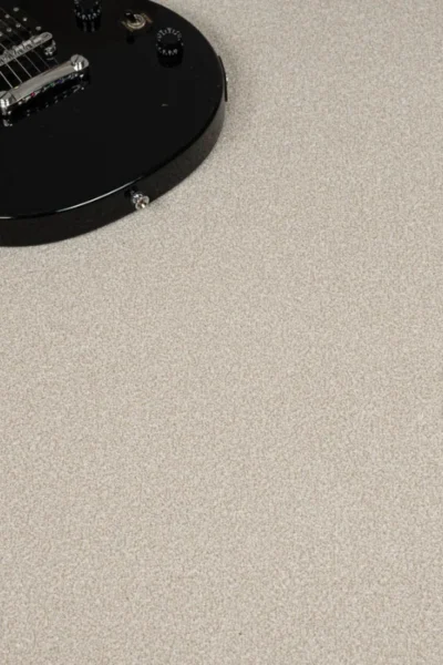 Stainfree Powder Carpet