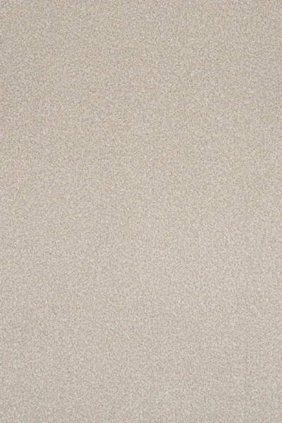 Stainfree Powder Carpet image 2