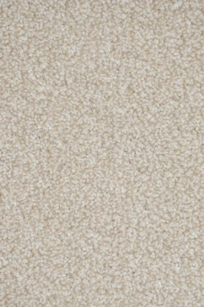 Stainfree Powder Carpet image 3