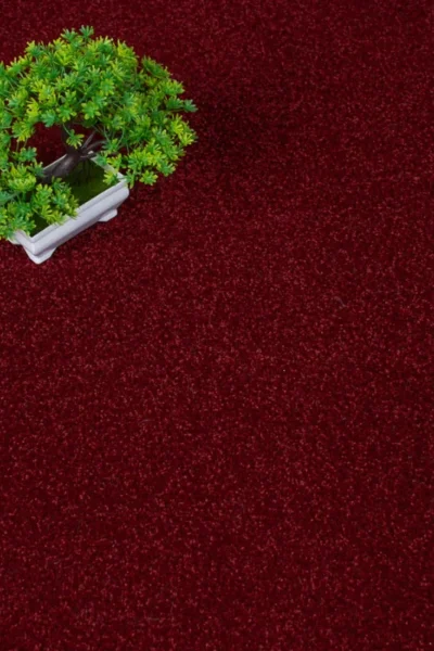Stainfree Ruby Carpet