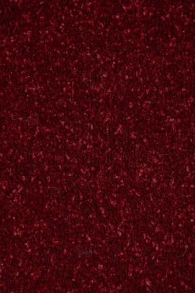 Stainfree Ruby Carpet image 3