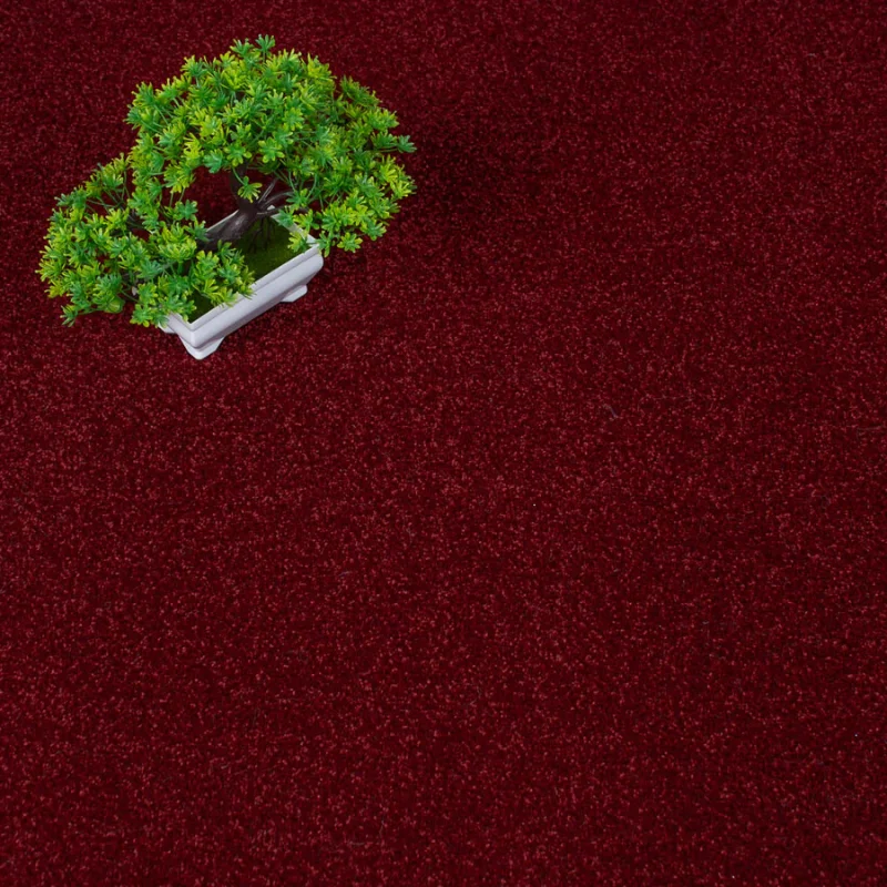 Stainfree Ruby Carpet