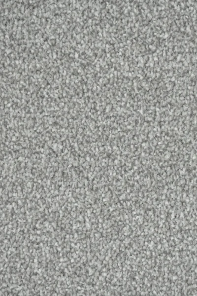 Stainfree Soft Shadow Carpet image 3