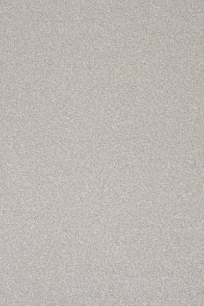 Stainfree Stone White Carpet image 2