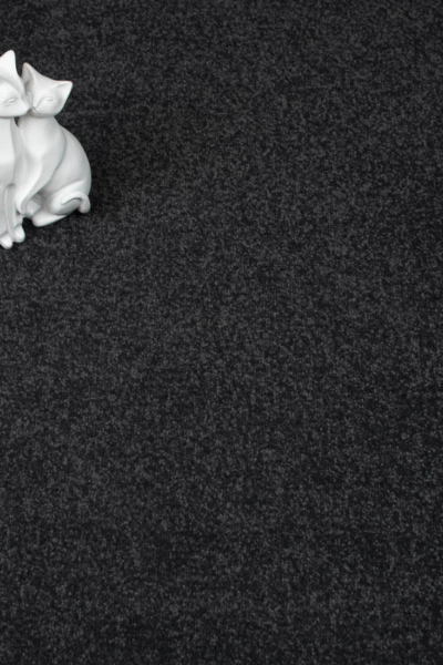 Stainfree Storm Carpet