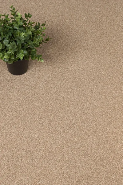 Stainfree Summer Breeze Carpet