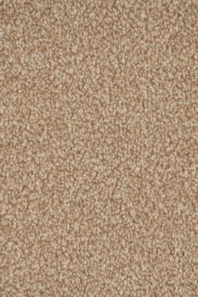 Stainfree Summer Breeze Carpet image 3
