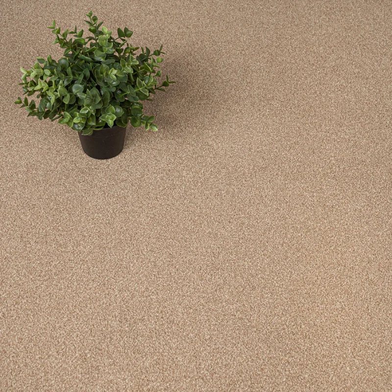 Stainfree Summer Breeze Carpet