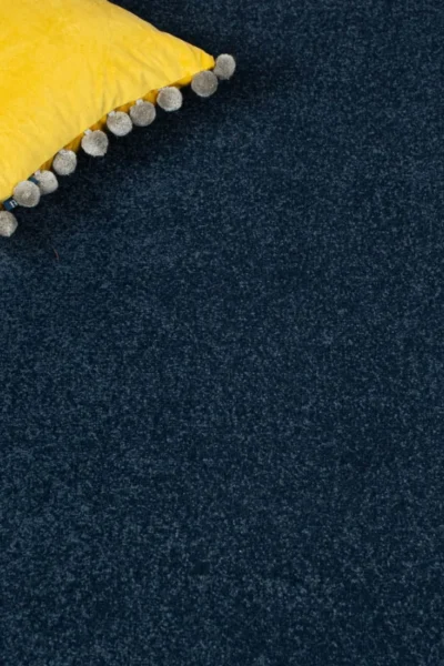 Stainfree Wedgecwood Carpet