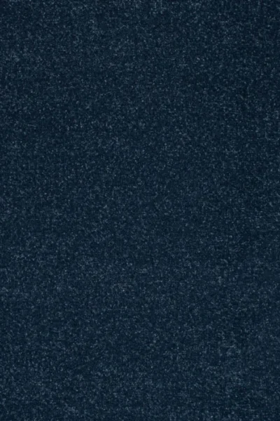 Stainfree Wedgecwood Carpet image 2