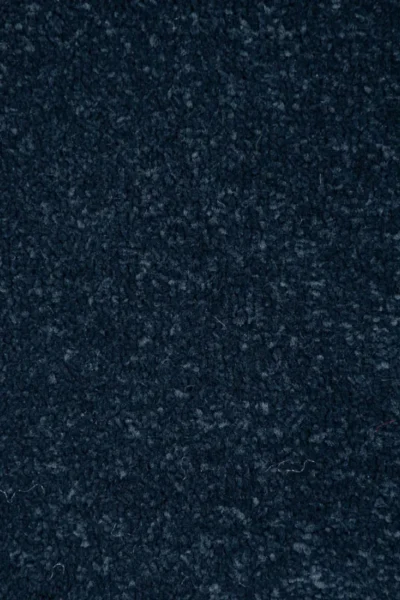 Stainfree Wedgecwood Carpet image 3