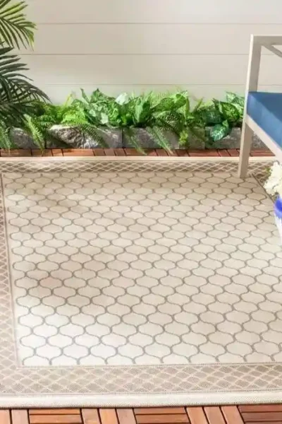 Tanya Courtyard Outdoor Rug