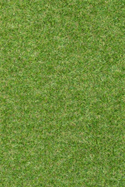 Trent 17mm Artificial Grass