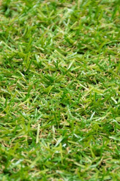 Trent 17mm Artificial Grass image 2
