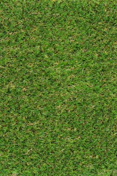 Tyne 30mm Artificial Grass