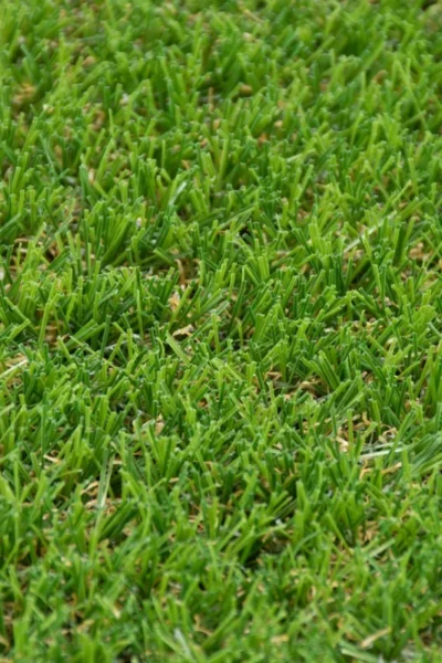 Tyne 30mm Artificial Grass image 3