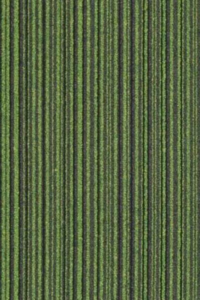 Vibrant Green Striped Carpet image 1