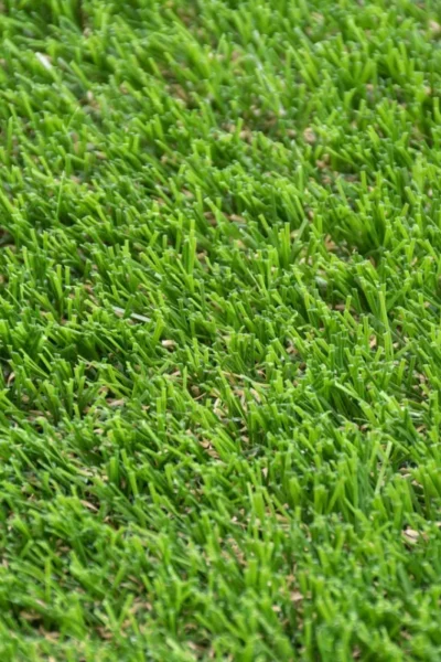 Witham 42mm Artificial Grass image 2